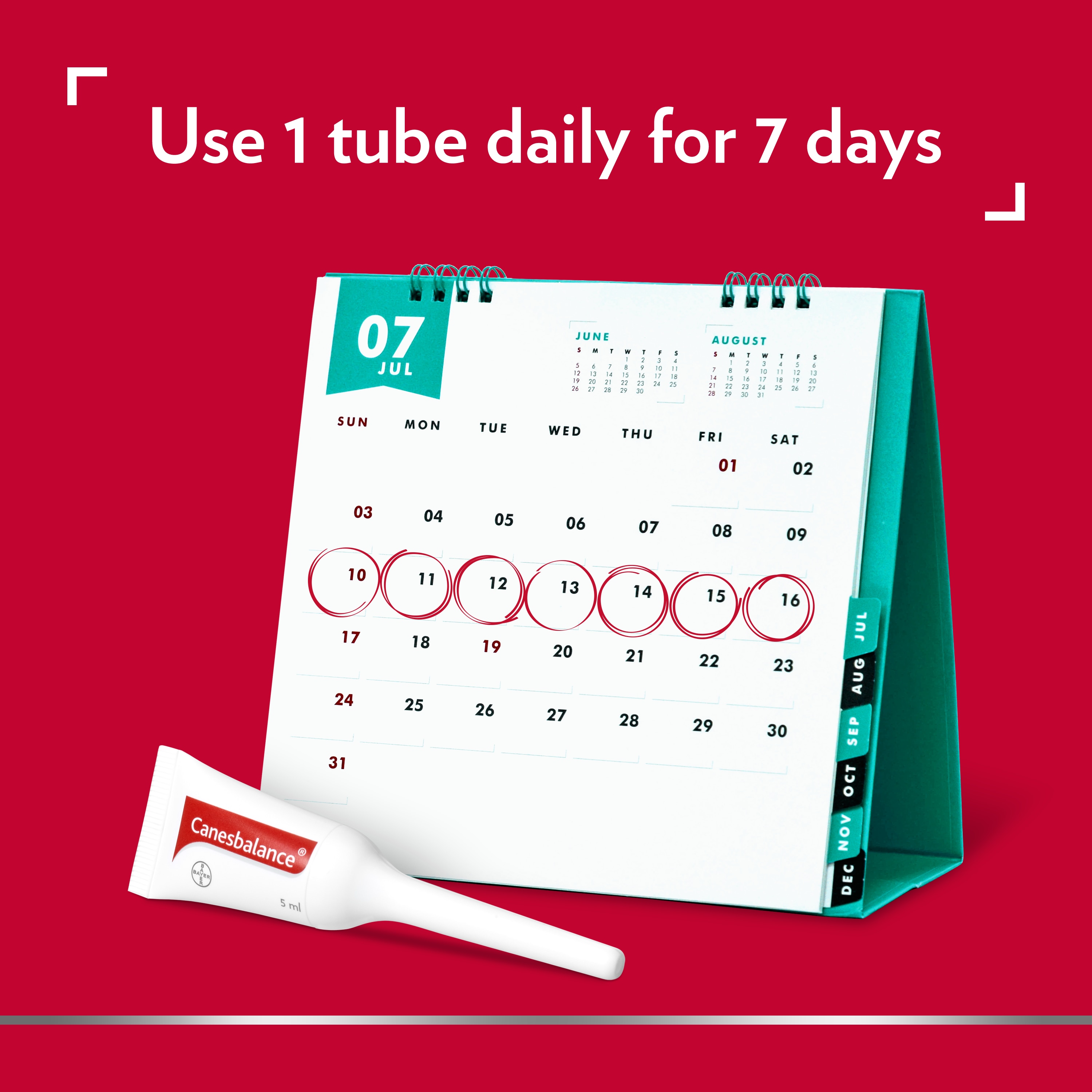 illustration of calendar for Canesbalance treatment schedule to use 1 tube daily for 7 days